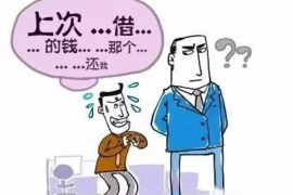 龙沙龙沙的要账公司在催收过程中的策略和技巧有哪些？